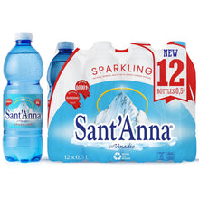 Wholesale Sant'Anna Frizzante Sparkling Natural Mineral Water, 16.9 Fl Oz- Bulk