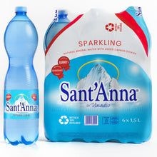 Wholesale Sant'Anna Sparkling Natural Mineral Water, 50.7 Fl Oz- Bulk