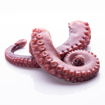 Wholesale Fao 34 Octopus Legs Cooked 2.4-4.2 Oz 3.31lb- Bulk