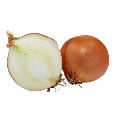Wholesale Aceendico Case Colossal Onions- Bulk