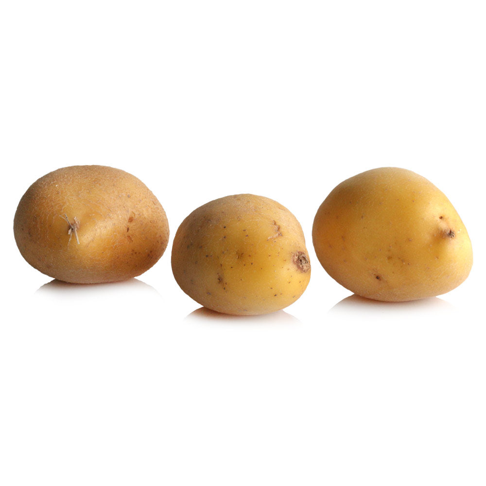 Wholesale BoxNCase Case Potato Yukon Gold A- Bulk