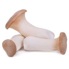 Wholesale BoxNCase Case Royal Trumpet Mushroom- Bulk
