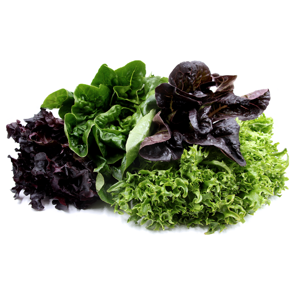 Wholesale T&A Case Artisan Lettuce Blend- Bulk