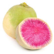 Wholesale BoxNCase Case Watermelon Radish- Bulk