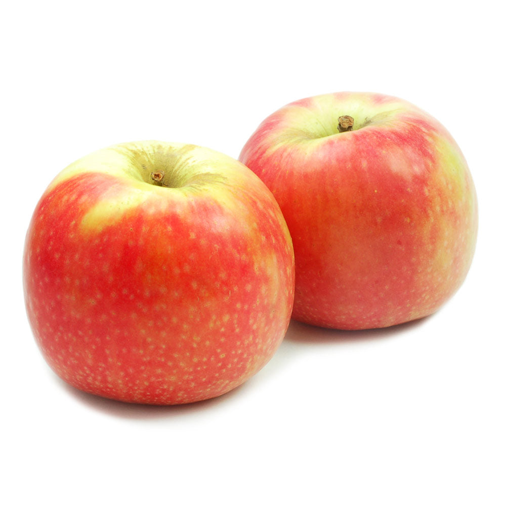 Wholesale Rainier Case Pink Lady Apples 80-100Ct- Bulk