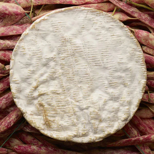 Wholesale Baron Bigod 250G- Bulk