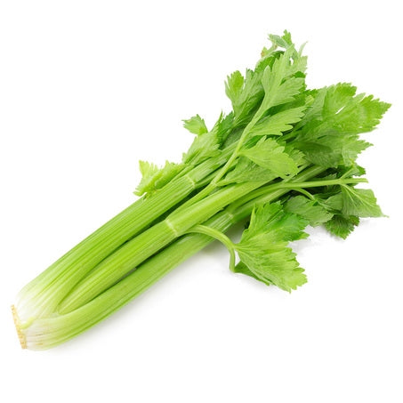 Wholesale Ocean Mist Case Celery- Bulk