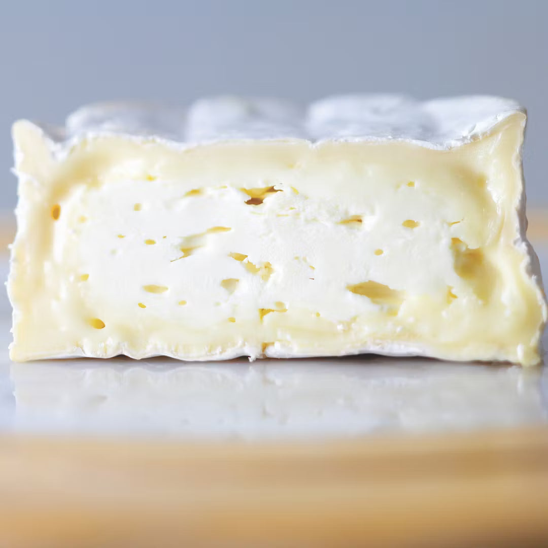 Wholesale Will Studd Camembert Conquerant 250- Bulk