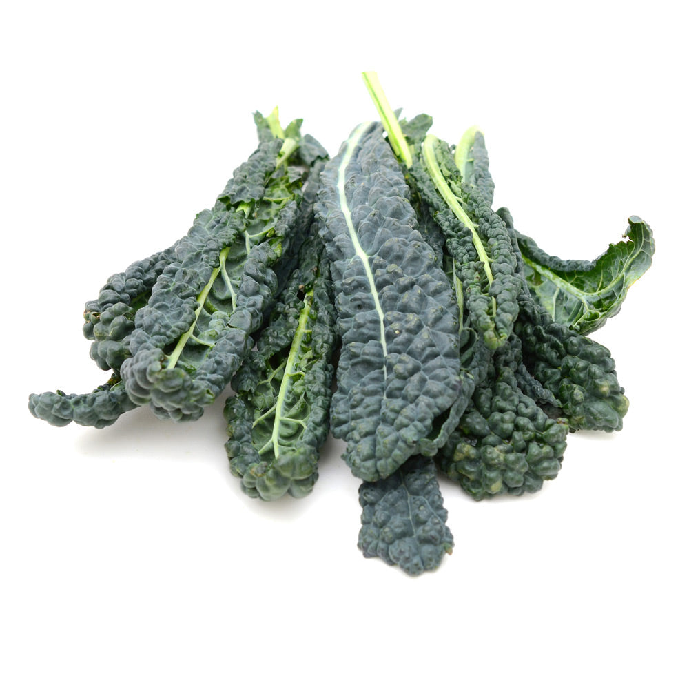 Wholesale Organic Black Kale | 24 ct- Bulk
