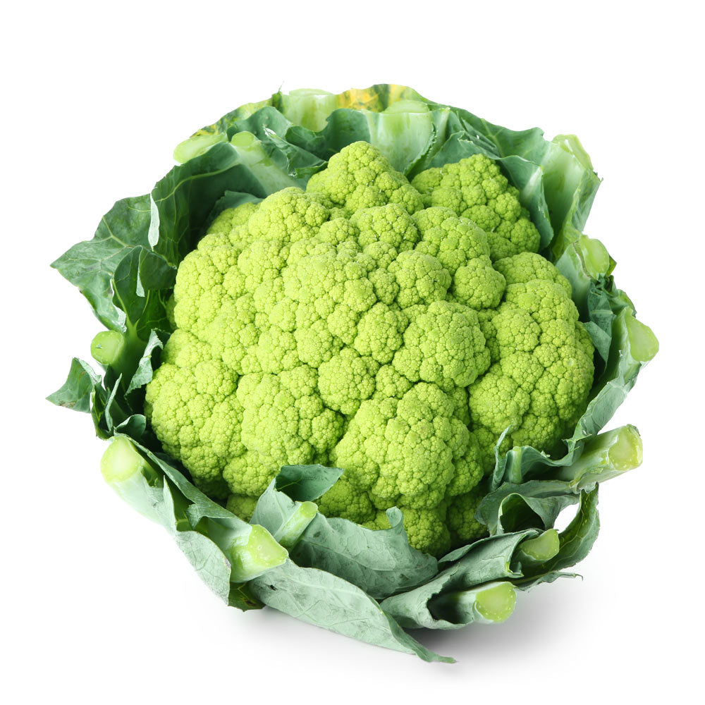 Wholesale Broccoli Flower | 20 lb- Bulk