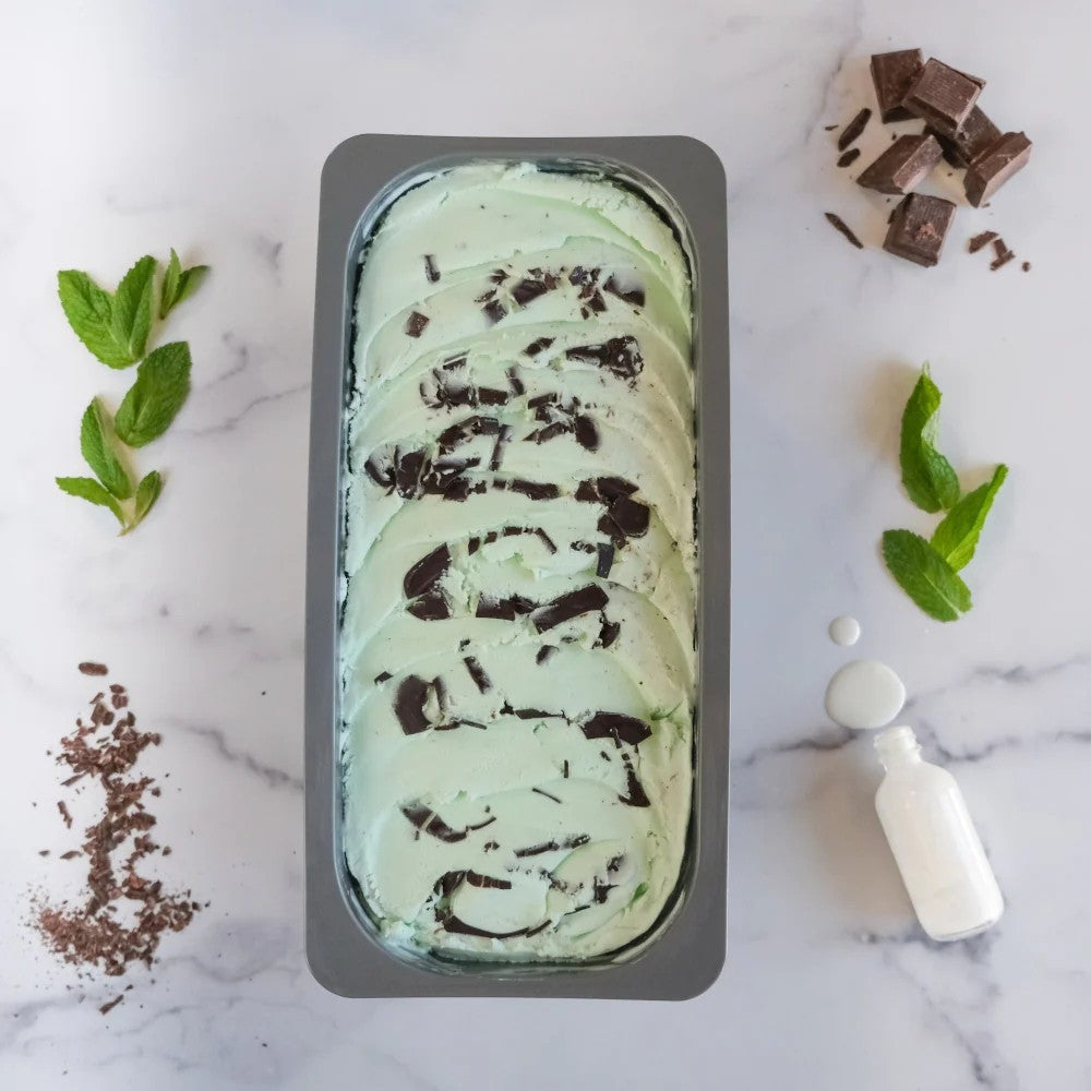 Wholesale Gelato Fest Case Mint Chocolate Chip Gelato- Bulk