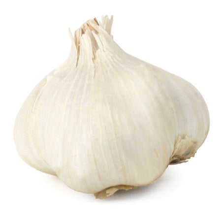 Wholesale Elephant Garlic- Bulk
