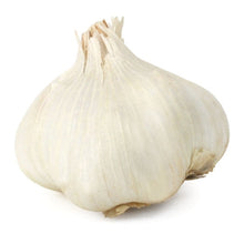 Wholesale Elephant Garlic- Bulk