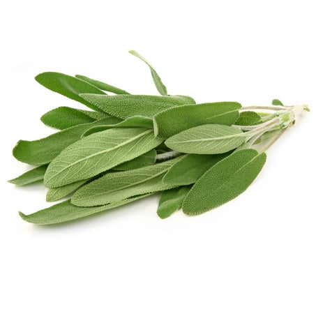 Wholesale Produce Exp Case Sage- Bulk