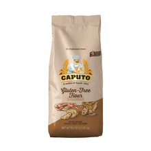 Wholesale Caputo Case Gluten Free Flour- Bulk