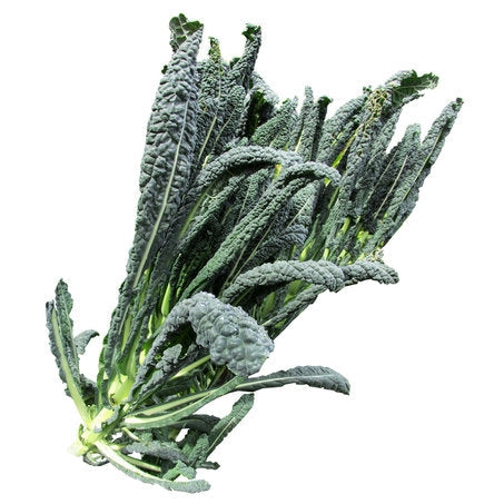 Wholesale BoxNCase Case Black Kale- Bulk