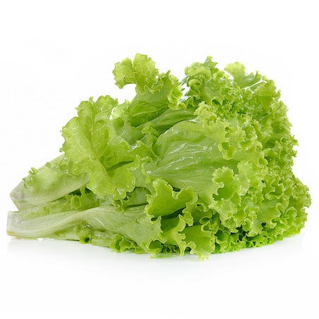 Wholesale Andy Boy Case Green Leaf Lettuce- Bulk