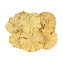 Wholesale Garniche Case Dried Pineapple Slices- Bulk