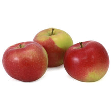 Wholesale BoxNCase Case Macintosh Apple 125Ct- Bulk