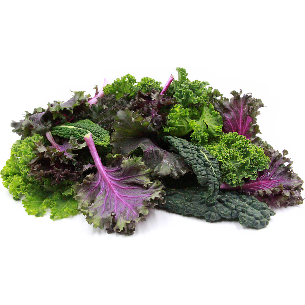 Wholesale BoxNCase Case Baby Mixed Lettuce 3Lb- Bulk