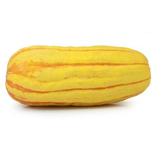 Wholesale BoxNCase Case Delicata Squash- Bulk