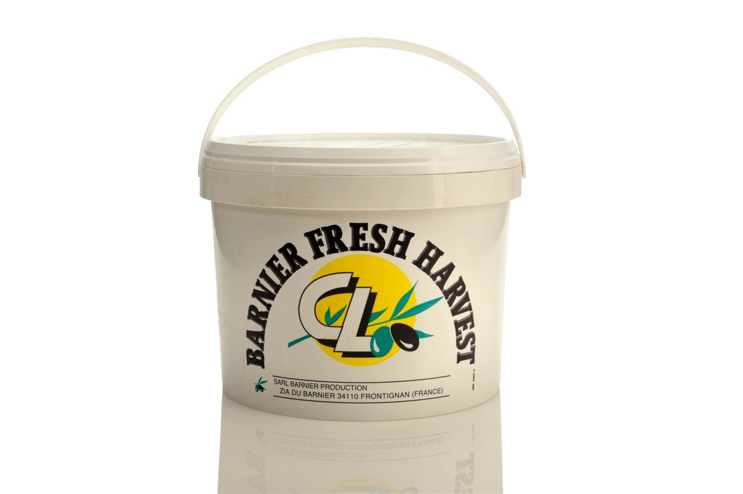 Wholesale Barnier Picholine Olives- Bulk