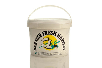 Wholesale Barnier Picholine Olives- Bulk