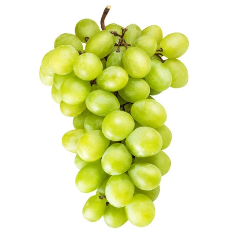 Wholesale BoxNCase Case Seedless Green Grapes- Bulk