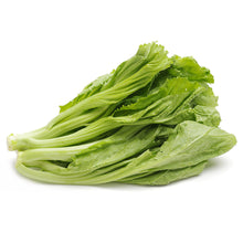Wholesale L&M Case Mustard Greens- Bulk