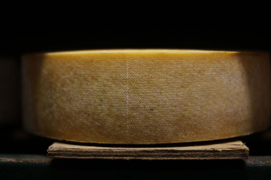 Wholesale Fiscalini Lionza Cheese 1/30- Bulk
