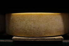 Wholesale Fiscalini Lionza Cheese 1/30- Bulk