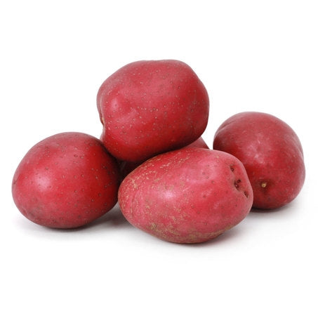 Wholesale BoxNCase Case Red B Potato In Bag- Bulk