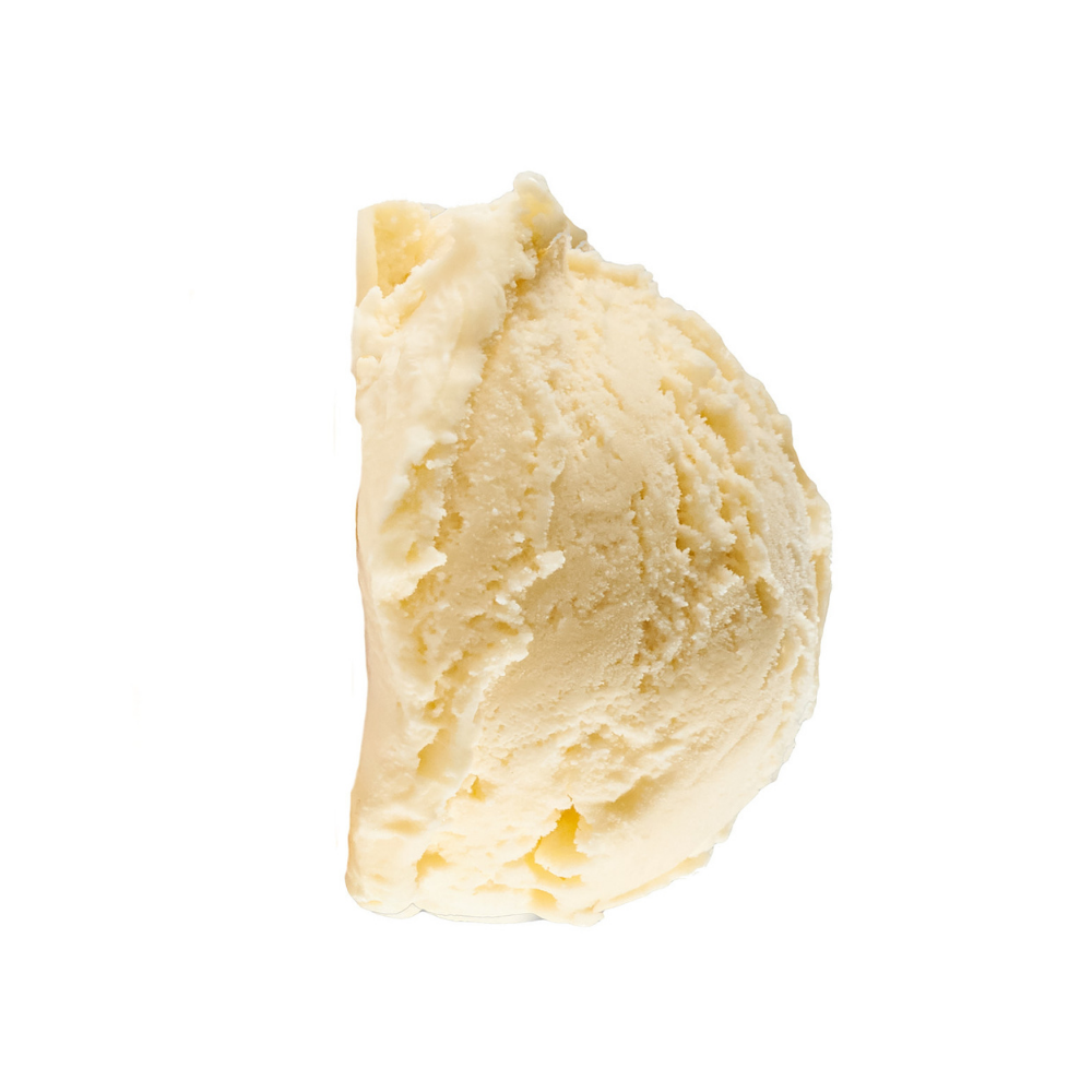 Wholesale Blue Bunny Ice Cream Van Non-Dairy 3Gal | 3 gallon- Bulk
