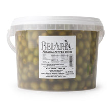 Wholesale BoxNCase Pitted Green Picholine Olives 4kg- Bulk