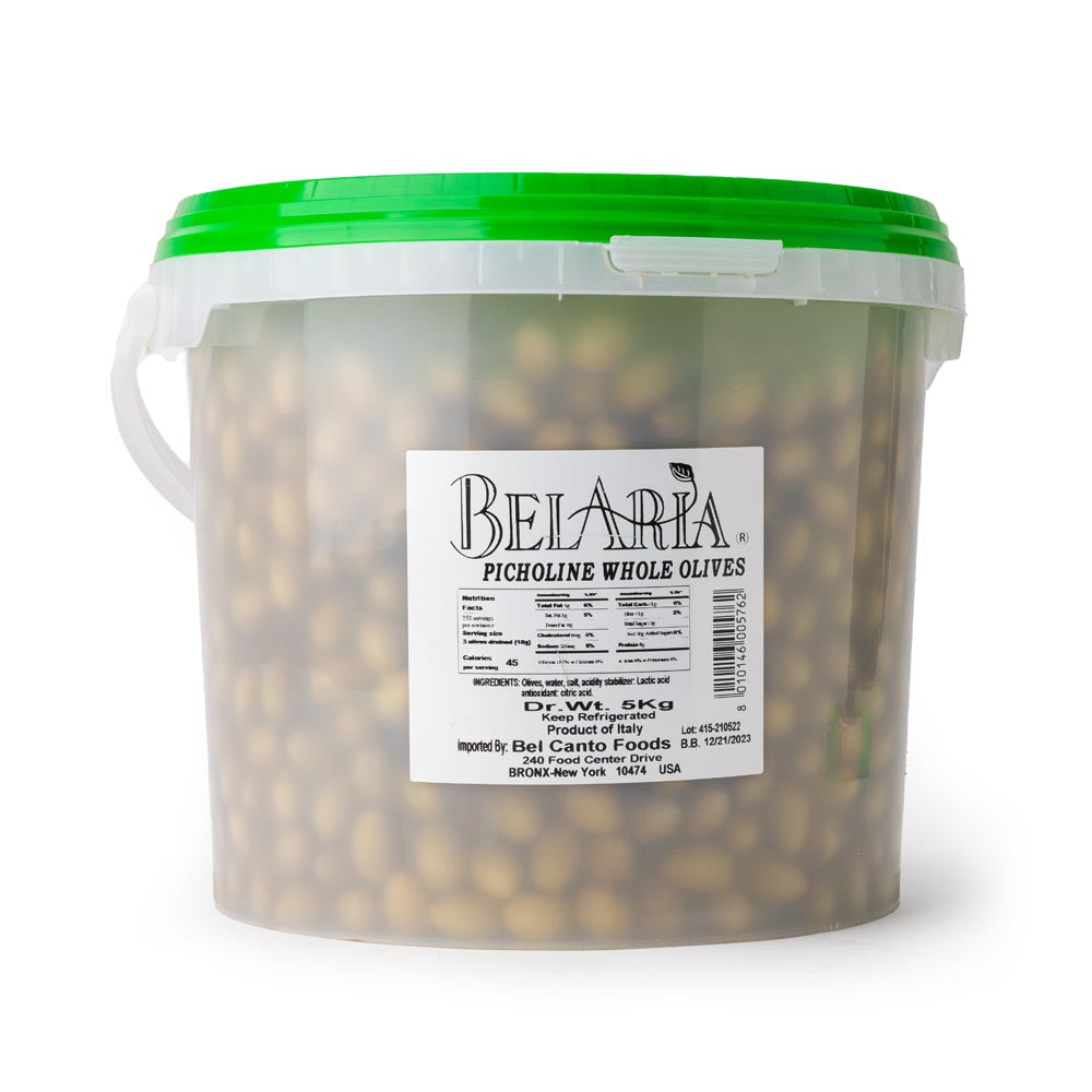 Wholesale BoxNCase Green Picholine Olives 5kg- Bulk