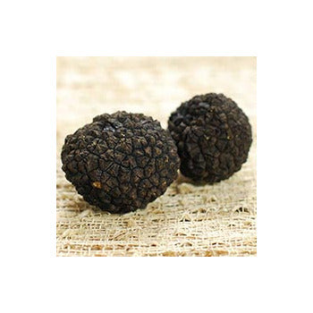 Wholesale BoxNCase Fresh Burgundy Truffles 4oz- Bulk