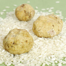 Wholesale BoxNCase Fresh White Medium Truffles 4oz- Bulk