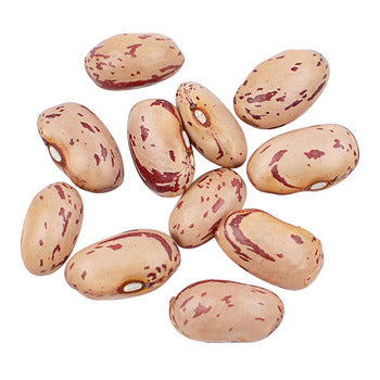 Wholesale D'Allesandro Borlotti Cranberry Beans 10lb- Bulk