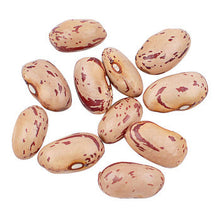 Wholesale D'Allesandro Borlotti Cranberry Beans 10lb- Bulk