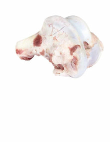 Wholesale Sobeval Marrow Bones 50 Lb- Bulk