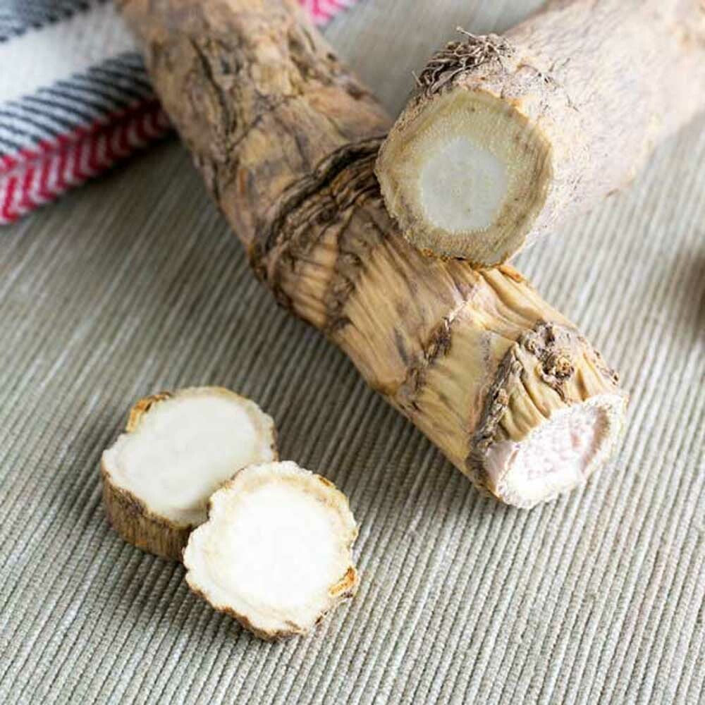 Wholesale BoxNCase Case Fresh Horseradish- Bulk