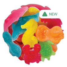 Wholesale Herbert'S Best Ocean Pack- Bulk