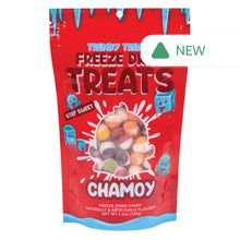 Wholesale Trendy Treats Freeze Dried Chamoy 4.2 Oz Pouch- Bulk