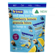 Wholesale B'Cuz Blueberry Lemon Granola Bites Multipack 5 Oz Pouch- Bulk