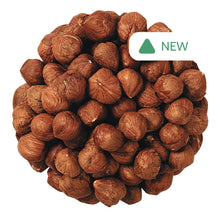 Wholesale BoxNCase Bulk Filberts (Hazelnuts)- Bulk