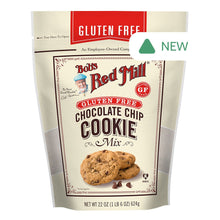Wholesale Bob'S Red Mill Gluten Free Chocolate Chip Cookie Mix 22 Oz Pouch- Bulk