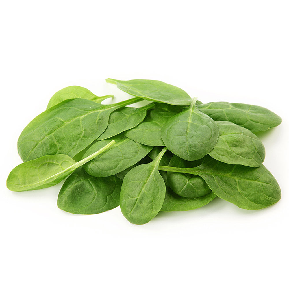 Wholesale B&W Case Baby Spinach- Bulk