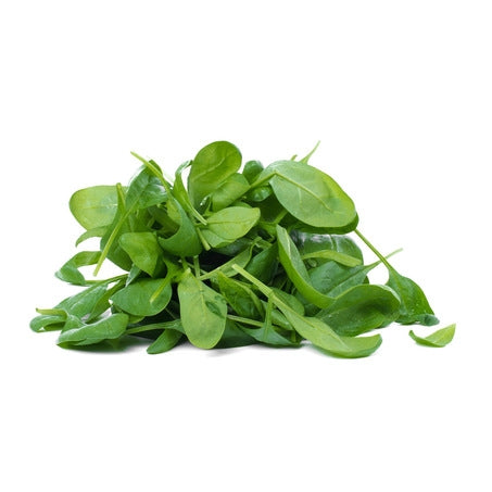 Wholesale BoxNCase Case Spinach Leaf Frozen- Bulk