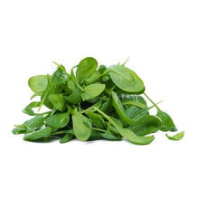 Wholesale BoxNCase Case Spinach Leaf Frozen- Bulk
