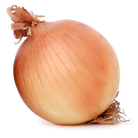 Wholesale Aceendico Case Spanish Onions- Bulk